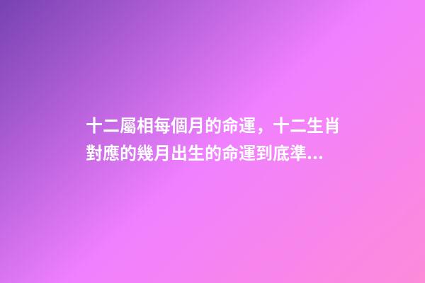 十二屬相每個月的命運，十二生肖對應的幾月出生的命運到底準不準？ 屬兔人出生月的命運屬兔每個月出生詳解-第1張-觀點-玄機派
